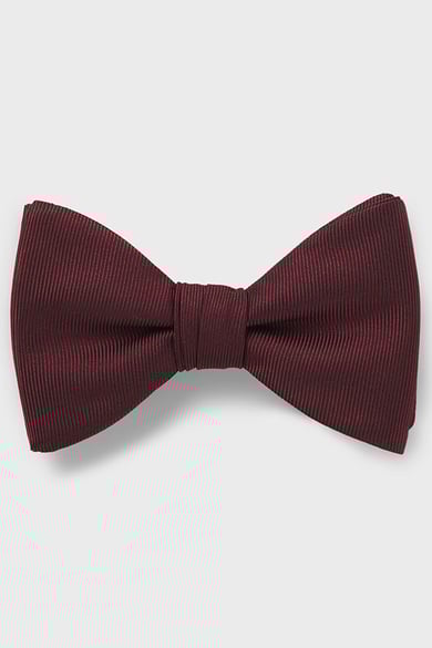 ΠΑΠΙΟΝ - 602 ΜΠΟΡΝΤΩ